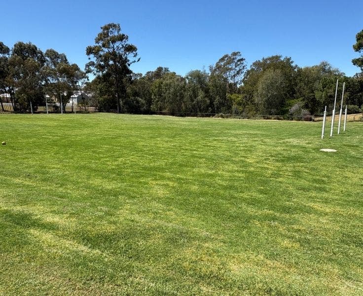 bottom oval playground, with green grass and 1 set of football goals in view.