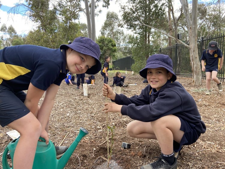students planting trees in our environmental area.