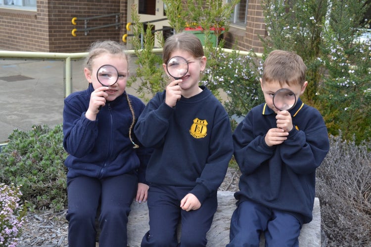 3 infant students sitting on a log in the garden, looking through magnifying glasses.