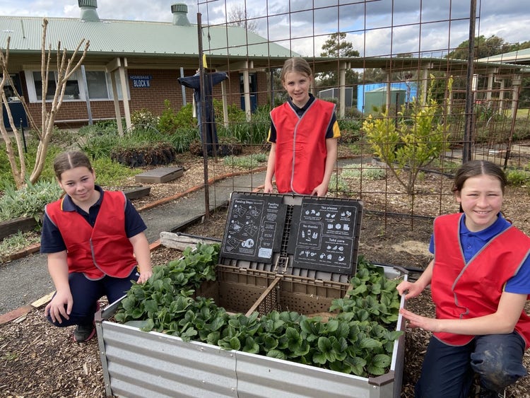 3 students wearing red vests, showcasing our new subpods.