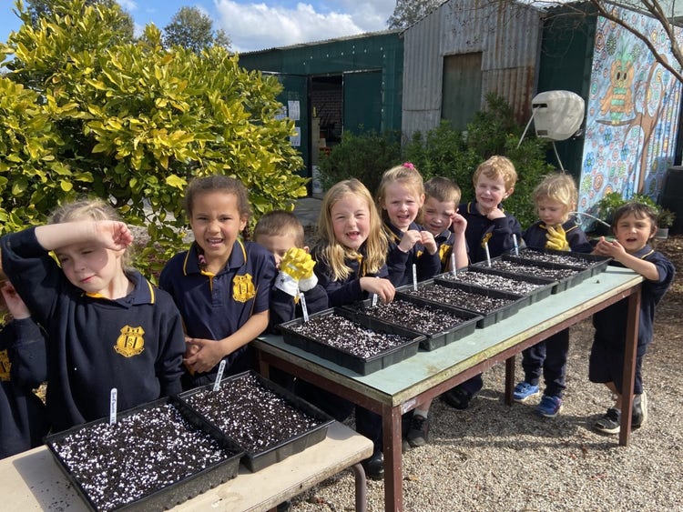 9 students standing at a table filled with seedling in the garden, smiling and squinting at the camera.