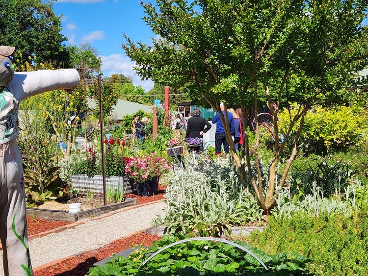 Some community members walking through our sunshine garden during the open garden event.