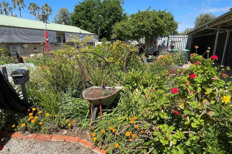 View of our Sunshine Garden