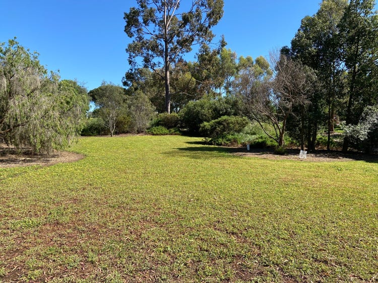 An area in our Environmental area, freshly mown lawn surrounded by trees.