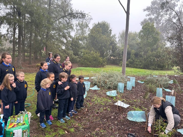 students watching a visitor from landcare show them how to plant a plant/tree.