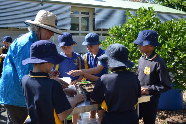 students working with a garden volunteer in the garden.
