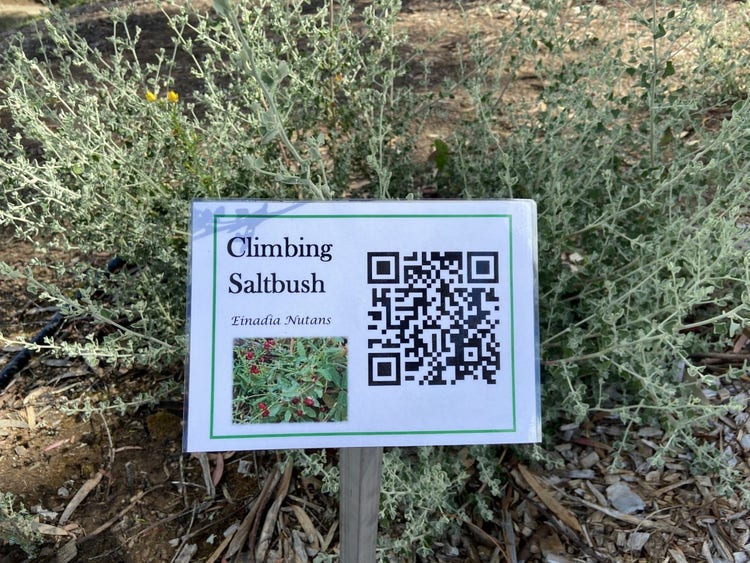 A sign in the garden showing the name of the plant, with an image of the plant and a QR code to scan.