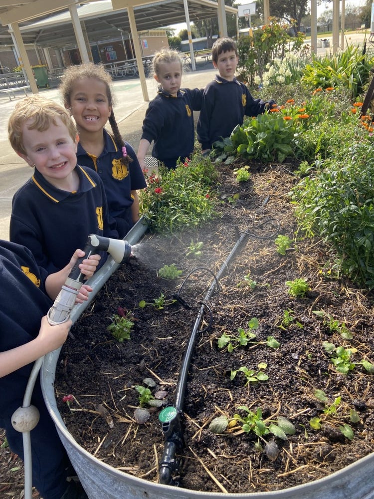 5 students standing around one of the garden beds as one students uses the hose to water it.