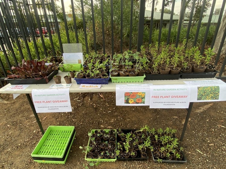 a table filled with plants and seedlings.