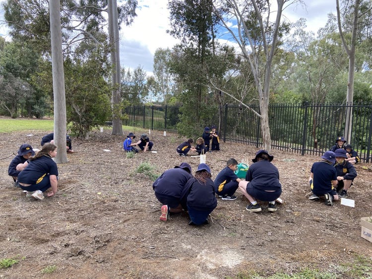 students planting trees in our environmental area.