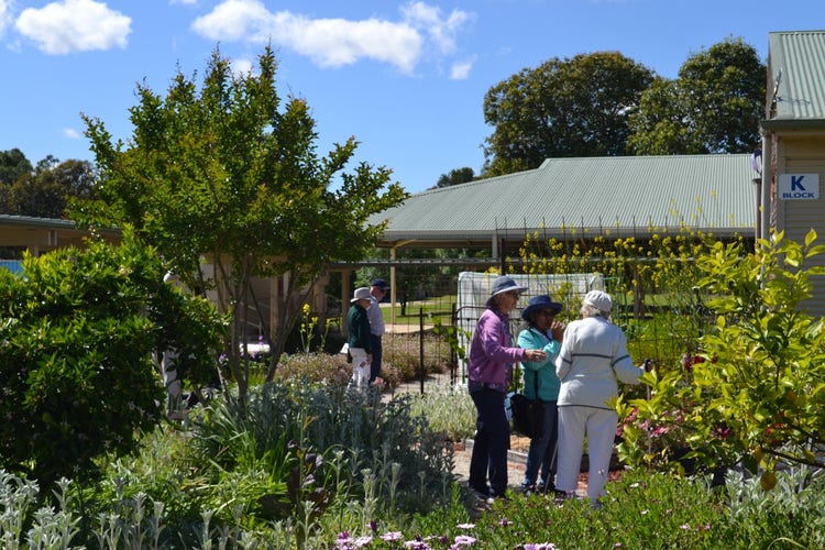 Some community members walking through our sunshine garden during the open garden event.