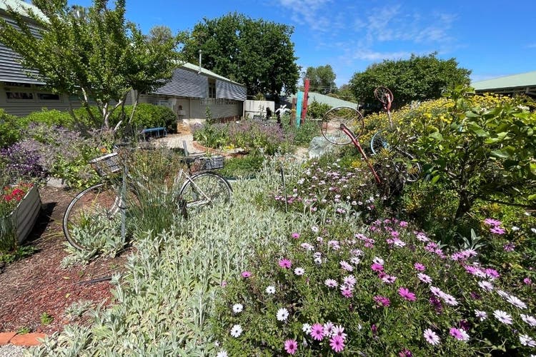 View of our Sunshine Garden